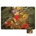 First Base Next Generation Nature's Art Desk Pad
