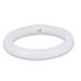Catalina 17374000 VisionMax Full Spectrum Fluorescent Bulb