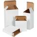 BOXRTS21W