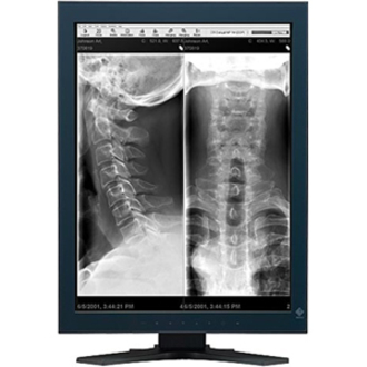 Eizo GX220-CL-P LCD Monitor - 21.3