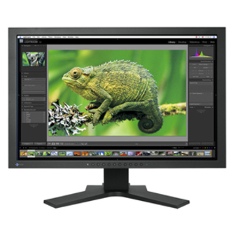 Eizo ColorEdge CG241W LCD Monitor - 24.1