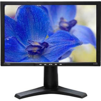 DoubleSight Displays DS-245W WideScreen LCD Monitor