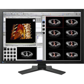 Eizo FlexScan MX300W WideScreen LCD Monitor - 30