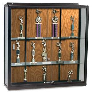 Balt Wall Mount Display Case - 48" x 16" x 48" - Glass - Oak