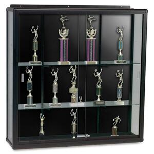 Balt Wall Mount Display Case - 48" x 16" x 48" - Glass - Black