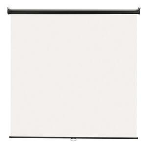 1 Each Fixed Frame Projection Screen