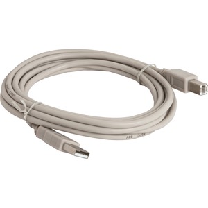 Compucessory A-B USB Cable - Type A Male USB - Type B Male USB - 10ft - Gray