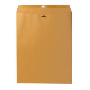 100/Box Clasp Envelope