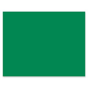 Pacon Peacock Railroad Board - 22" x 28" - Holiday Green