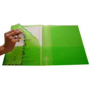 Lion Presentation Portfolio - 9.5" x 11.5" - 100 Sheet Capacity - Green