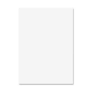 Elmer's White Poster Board - 22" x 28" - White