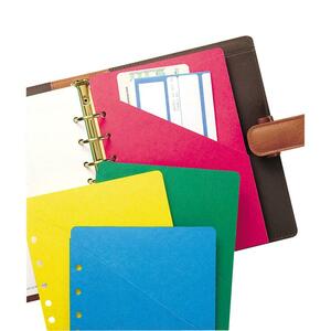 Day-Timer Slash File Pocket - 8.5" x 5.5" - 1 Each - Assorted