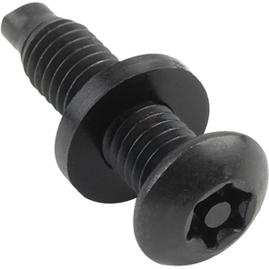 Raxxess 100 Pc. Security Rack Screws