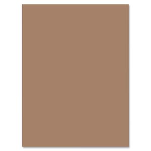 Nature Saver Smooth Texture Construction Paper - 9" x 12" - Brown