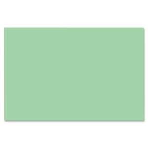 Nature Saver Smooth Texture Construction Paper - 12" x 18" - Medium Green