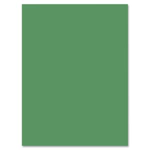 Nature Saver Smooth Texture Construction Paper - 9" x 12" - Holiday Green