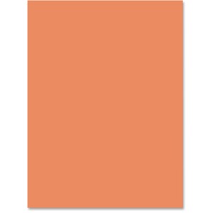 Nature Saver Smooth Texture Construction Paper - 9" x 12" - Orange