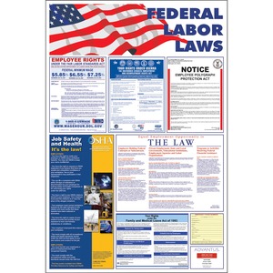 Advantus Federal Labor Law Poster - 24" Width x 36" Height - Red