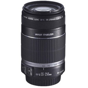 Canon EF-S 55-250mm f/4-5.6 IS Telephoto Zoom Lens