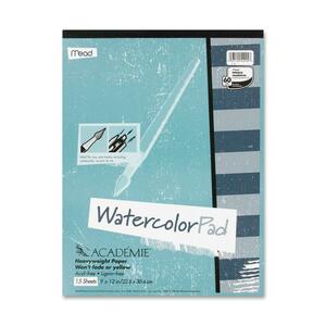 Meadwestvaco Watercolor Pad