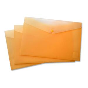 Frosted Poly Envelope