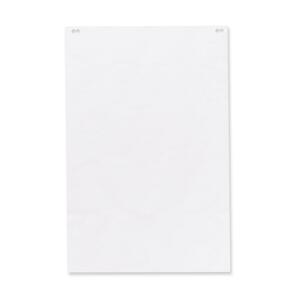 Plain Bond Flip Chart Easel Pad - Click Image to Close