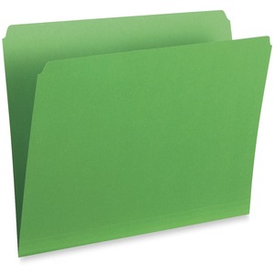 Straight Cut Vertical Colored File Folder