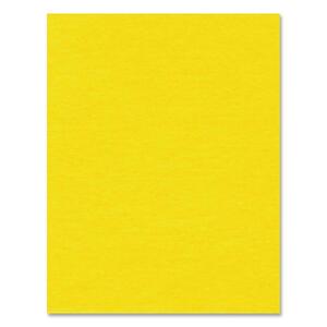 Heavyweight Yellow Bristol Board