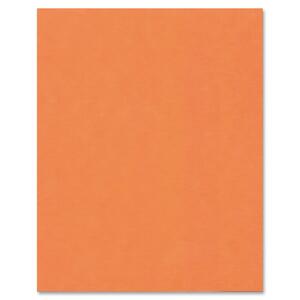 Heavyweight Fluorescent Orange Bristol Board