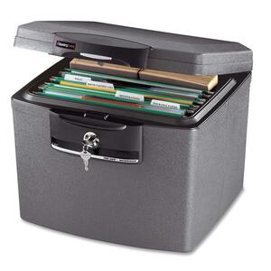Sentry Gun Safes