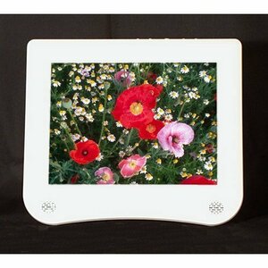 10IN TFT LCD VGA/DVI 800X600