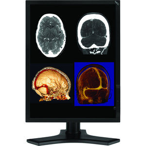 21.3IN LCD CLR MULTISYNC 1050:1