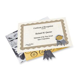 Geographics Gold Standard Certificate Kit - 11" x 8.5" - Inkjet, Laser Compatible - Gold with Golden Seal