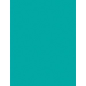 Pacon Kaleidoscope Multipurpose Paper - Letter - 8.5" x 11" - 24lb - 500 / Ream - Turquoise