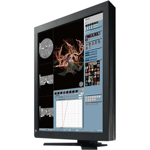 21.2IN LCD COLOR 1000:1 3MP