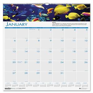 House of Doolittle Panoramic Sea Life Wall Calendar - Monthly - 12" x 12" - January till December - 1 Month Per 1 Page(s) - Assorted