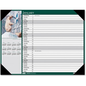 At A Glance Executive 2 Pages Per Month Monthly Planner - Thumbnail view 