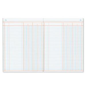 Rediform Granite-grain Single Page Columnar Book - 80 Sheet(s) - Gummed - 9.25" x 7" Sheet Size - White - 1Each