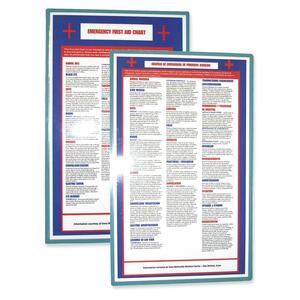 TATCO Bilingual First Aid Guide