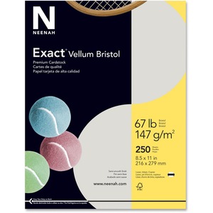 Exact Vellum Bristol Paper - Letter - 8.5" x 11" - 67lb - 90 GE/101 ISO Brightness - 250 x Sheet - Gray