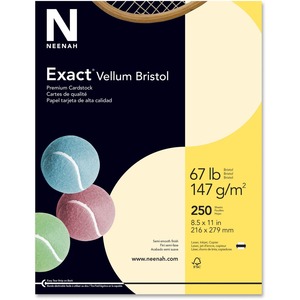 Exact Vellum Bristol Paper - Letter - 8.5" x 11" - 67lb - 90 GE/101 ISO Brightness - 250 x Sheet - Ivory