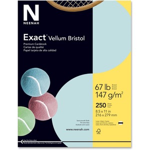 Exact Vellum Bristol Paper - Letter - 8.5" x 11" - 67lb - 90 GE/101 ISO Brightness - 250 x Sheet - Blue