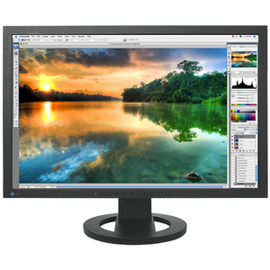 Eizo ColorEdge CG223W 22" LCD Monitor - 16:10 - 6 ms CG223W-BK
