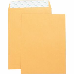 Self Adhesive Kraft Catalog Envelopes 9"x12" - Click Image to Close