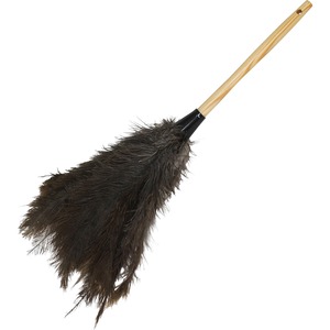 Feather Duster - Click Image to Close