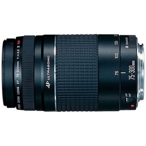 Canon EF 75-300mm f/4-5.6 III USM Telephoto Zoom Lens