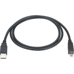 Black Box USB 2.0 A to B Cable - Type A Male USB - Type B Male USB - 6ft
