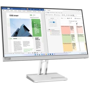 Lenovo L25e-40 25" Class Full HD LED Monitor - 16:9