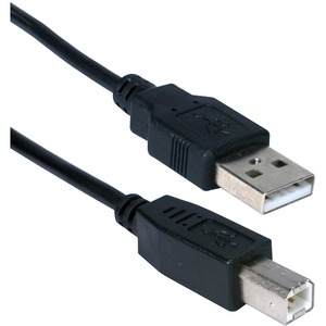 QVS USB Cable - Type A Male USB - Type B Male USB - 6ft - Black