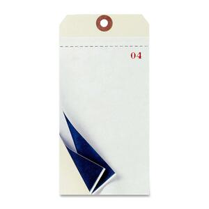 Avery Blank Manifold Tag - 6.25" x 3.12" - 500 / Box - Manila